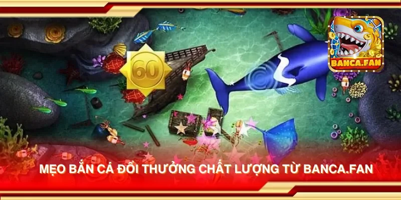 Mẹo bắn cá đổi thưởng chất lượng từ hubdrive.tv