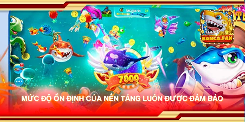 Mức độ ổn định của nền tảng luôn được đảm bảo